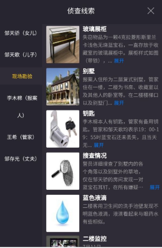 犯罪大师消失的蓝宝石凶手是什么人