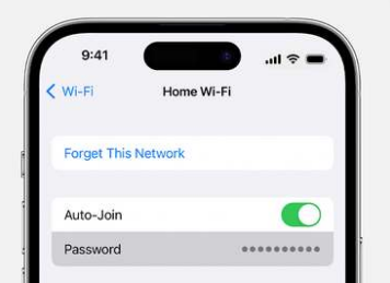 苹果手机wifi密码如何查看