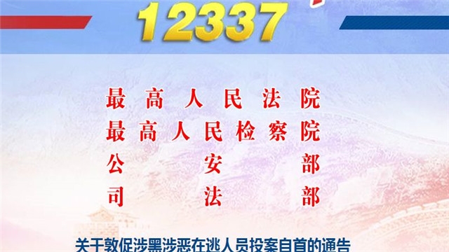 12337全国扫黑办智能化举报正式版平台