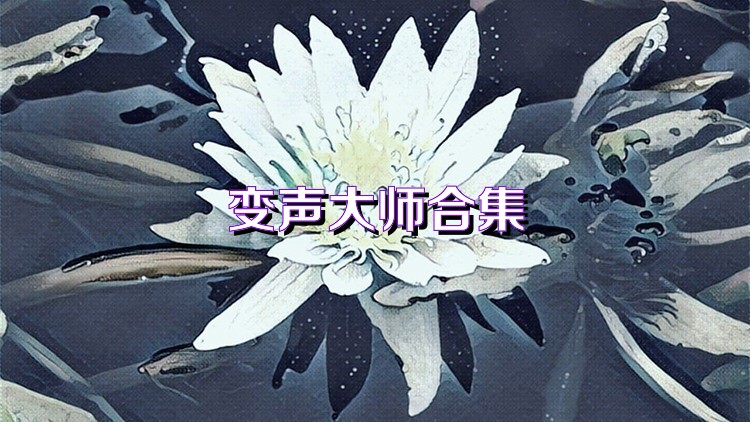 变声大师合集