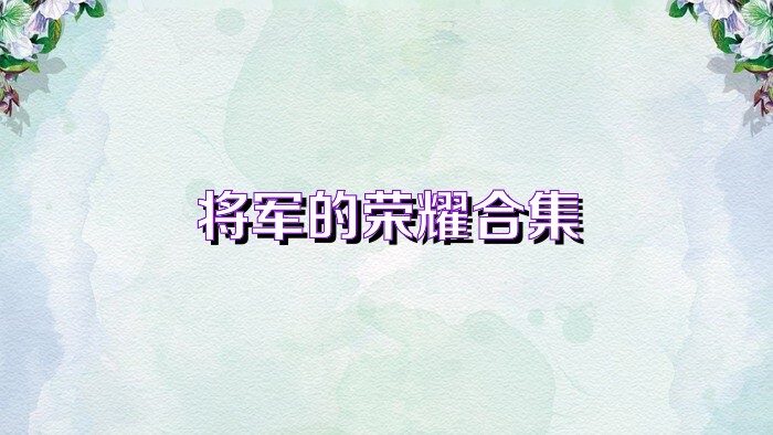 将军的荣耀合集