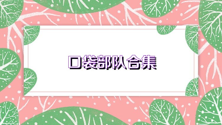 口袋部队合集