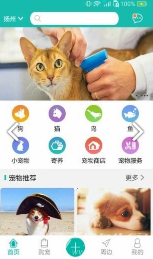 宠都(宠都宠物信息分享APP)V2.2.3 安卓正式版