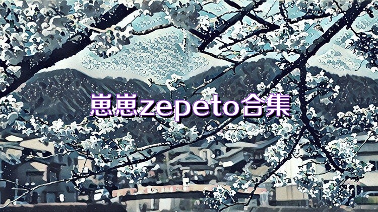 崽崽zepeto合集