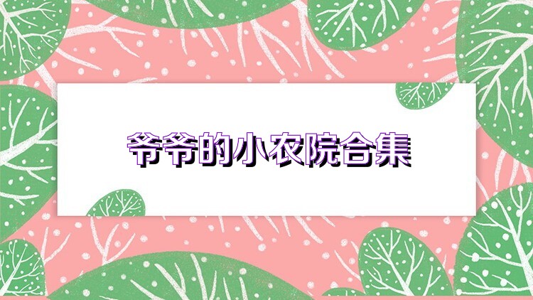 爷爷的小农院合集