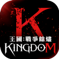 王国Kingdom战争余烬