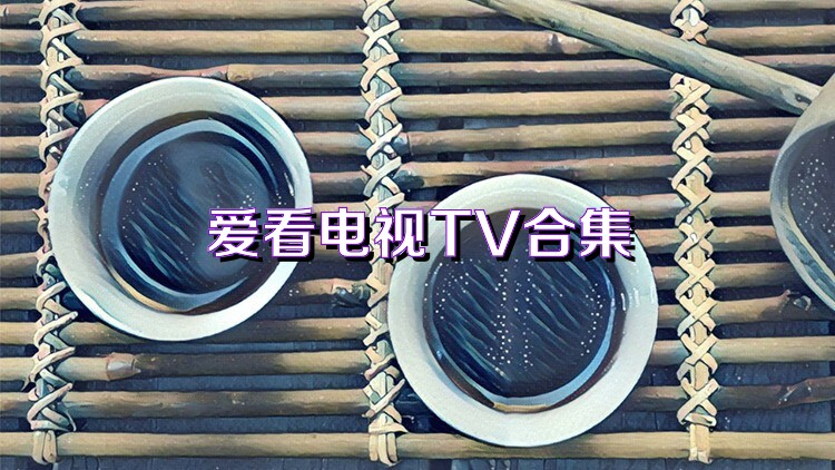 爱看电视TV合集