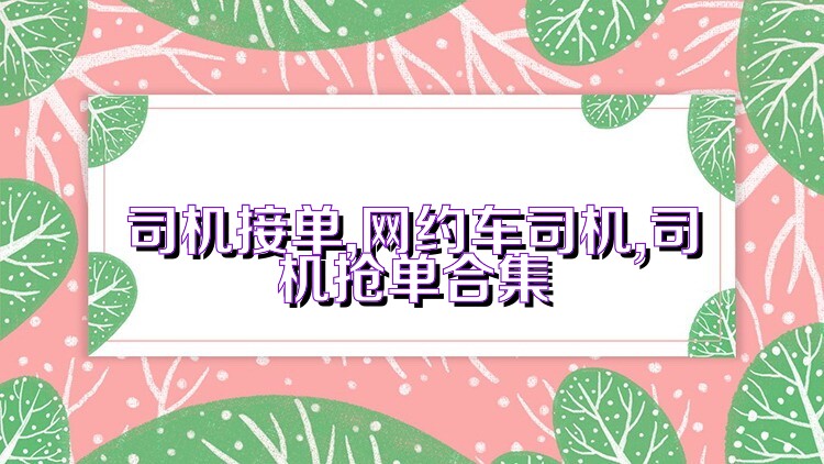 司机接单,网约车司机,司机抢单合集