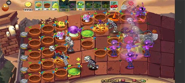 PvZ TV末日草坪随机版