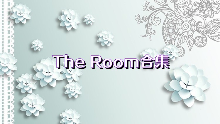 The Room合集