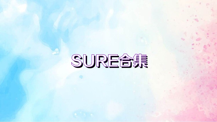 SURE合集