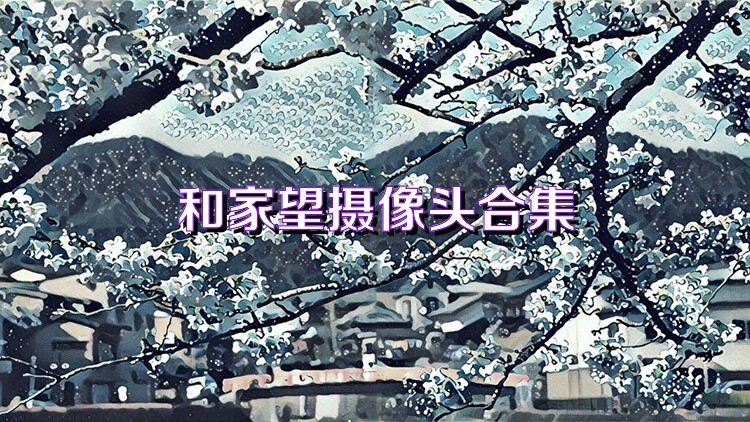 和家望摄像头合集