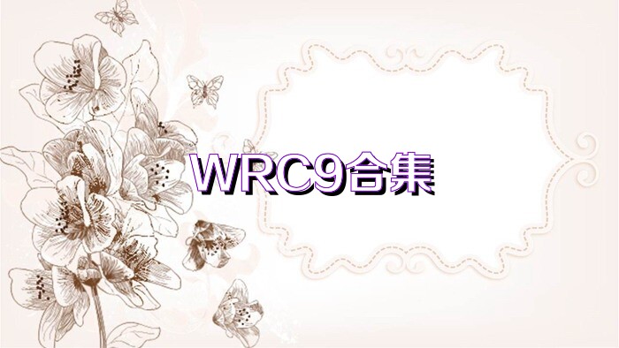 WRC9合集