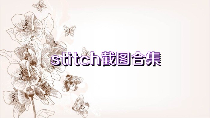 stitch截图合集