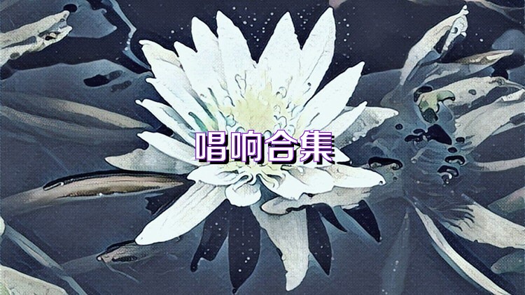 唱响合集