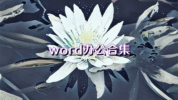 word办公合集