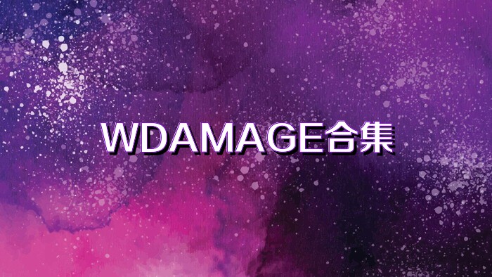 WDAMAGE合集