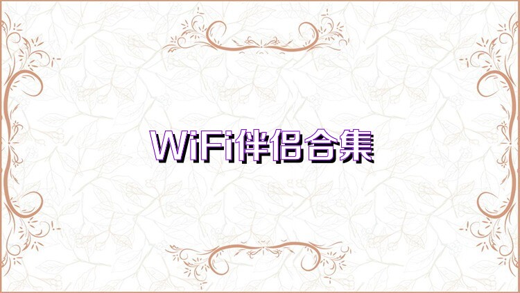 WiFi伴侣合集