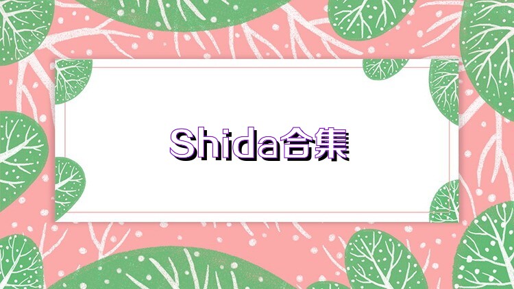 Shida合集