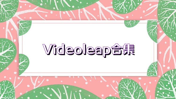 Videoleap合集