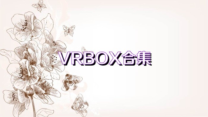 VRBOX合集