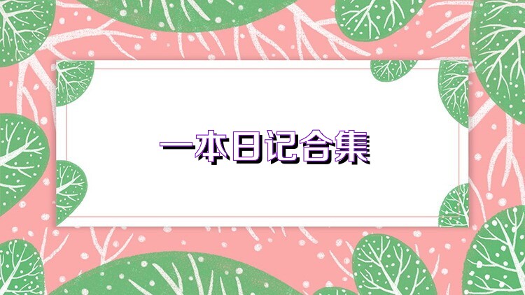 一本日记合集