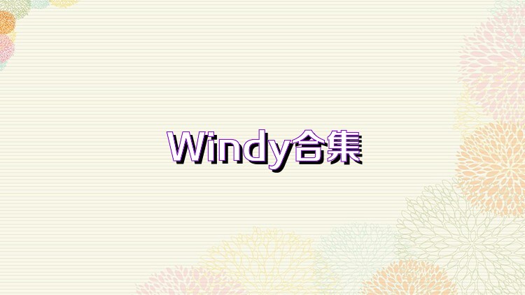 Windy合集