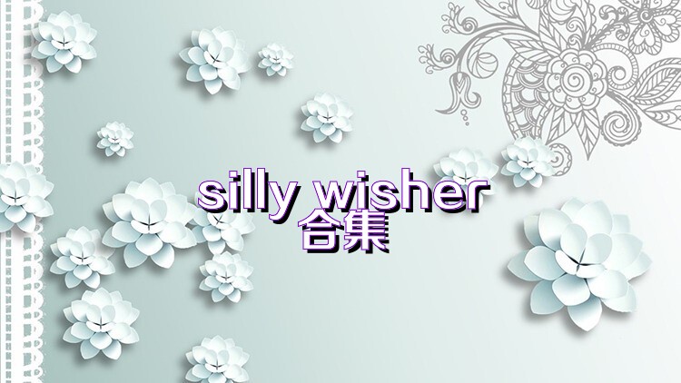 silly wisher合集