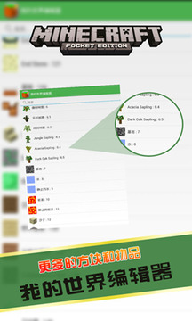 我的世界编辑器