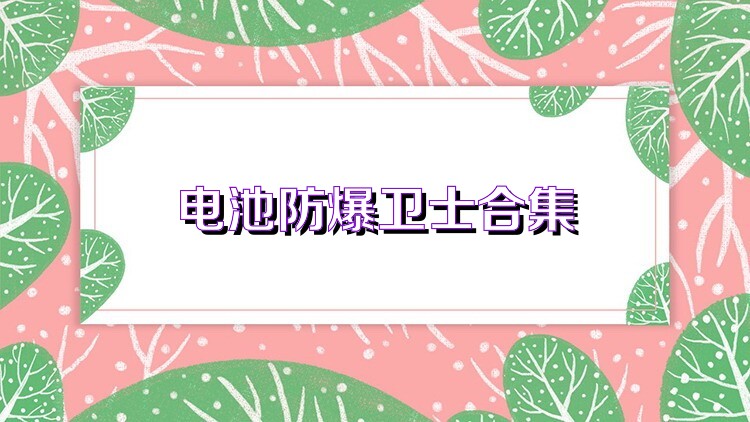 电池防爆卫士合集