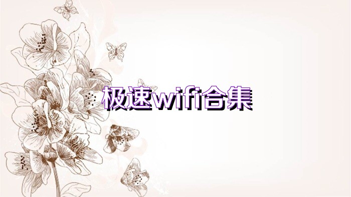 极速wifi合集