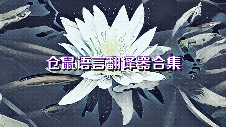 仓鼠语言翻译器合集