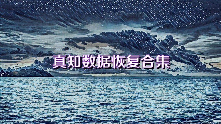 真知数据恢复合集