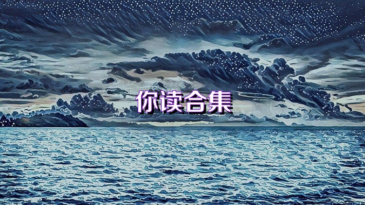 你读合集