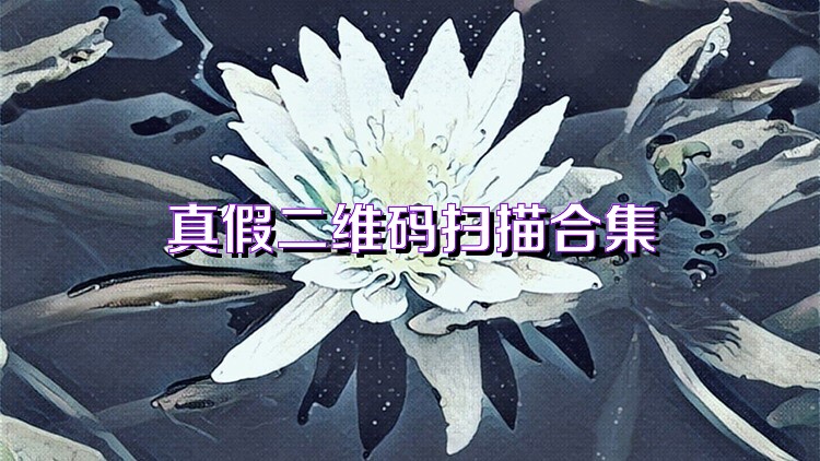 真假二维码扫描合集