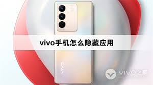 vivo手机应用隐藏功能详解