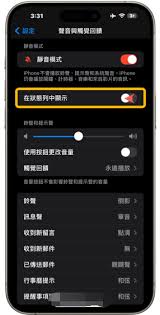 如何隐藏iPhone15Pro上的静音指示标志