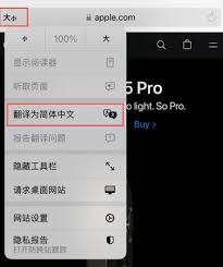 在iPhone上使用Safari浏览器翻译网页