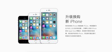 如何高效迁移老iPhone数据至新iPhone