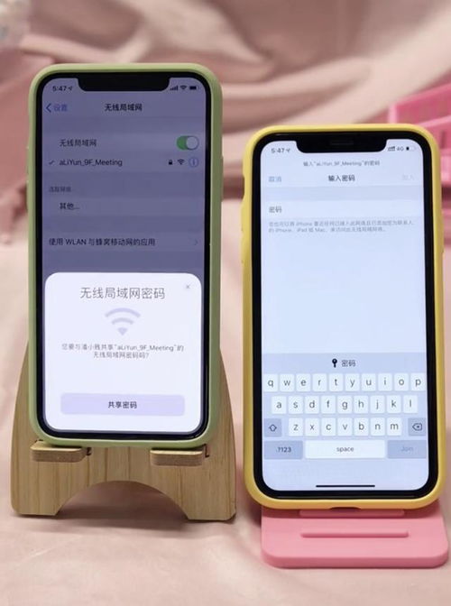 苹果手机如何共享WiFi密码