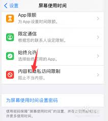 苹果软件如何隐藏隐私访问限制？找到设置方法