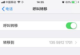 苹果手机呼叫转移设置方法