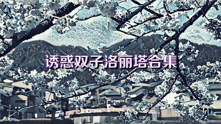 诱惑双子洛丽塔合集