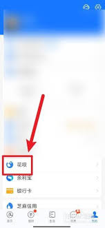 ios付款无法使用花呗原因是什么