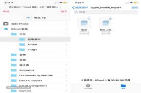 iPhone健康数据导出方法