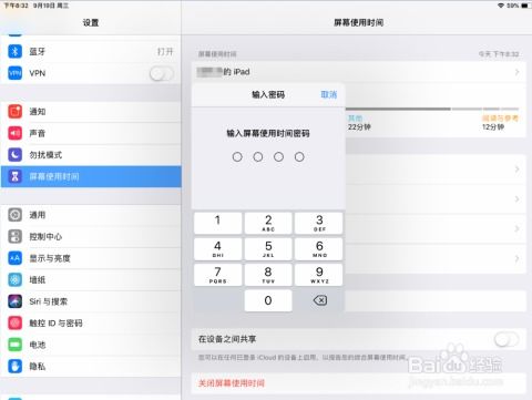 引导式访问在iPhone或iPad上无法使用