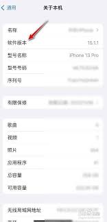 苹果手机如何查看系统版本号