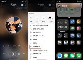 网易云音乐如何设置手机桌面歌词