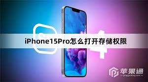 如何在苹果iPhone15上启用存储权限