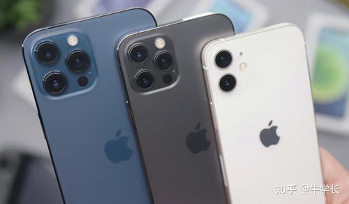 美版iPhone 11与国行版有何不同